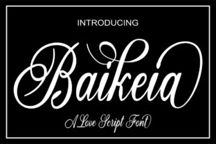 Baikeia: A Modern Script Font to Elevate Your Small Business Brand