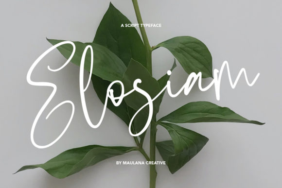Elosiam: A Handwritten Font That Brings Heart to Handmade Products