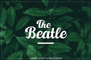 How The Beatle Font Transformed My Small Business Branding