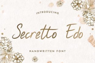 Secretto Edo: A Designer's Take on a Script Font with Genuine Character